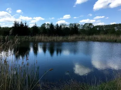 Rzeczoznawca majątkowy, wycena nieruchomości - Kasjan nieruchomości-finanse